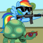 Rainbow Dash and Tank!