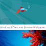 Windows 8 Consumer Preview Wallpapers
