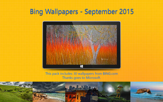 Explore the Best Bingwallpapers Art