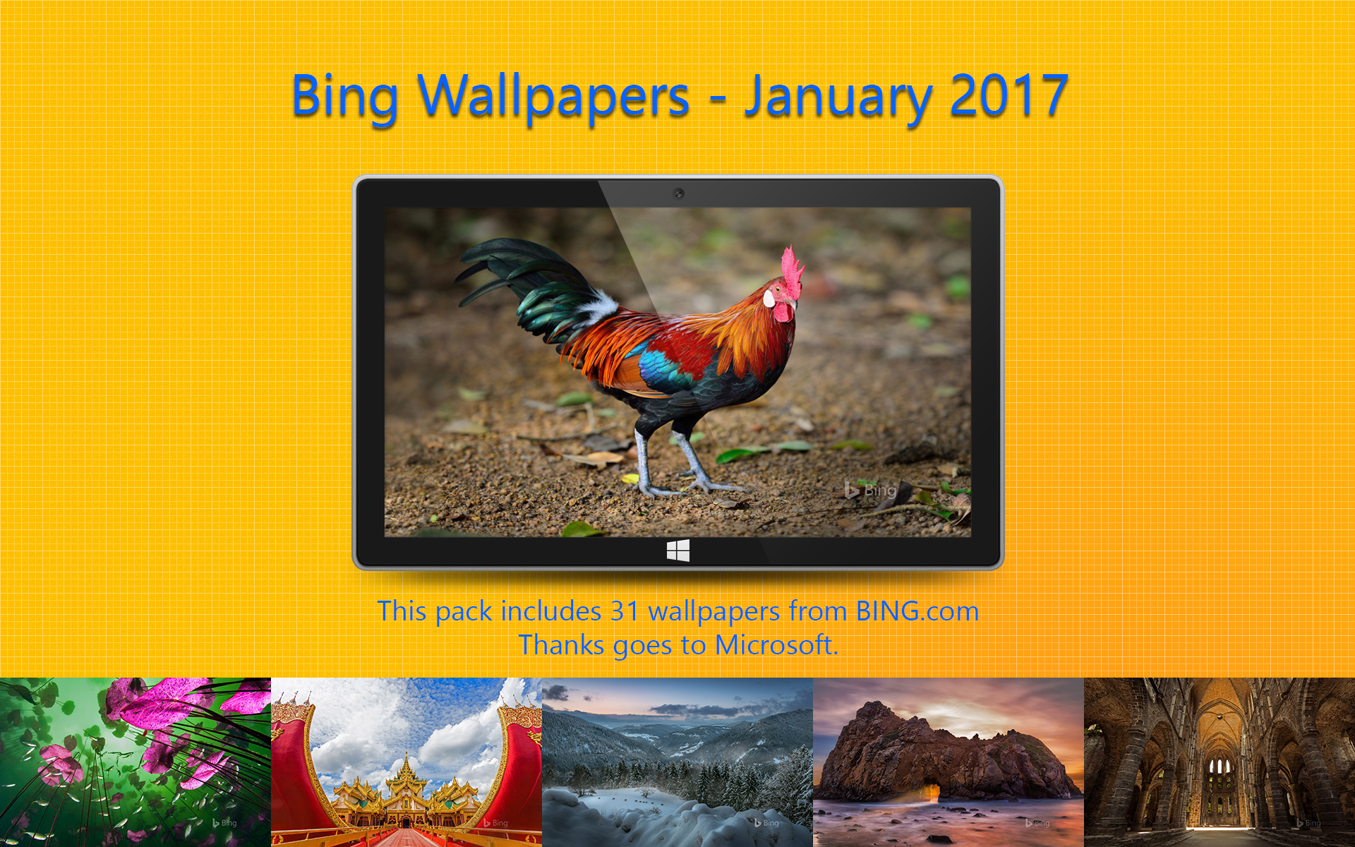 Bing Wallpapers - January 2017 by