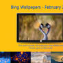 Bing Wallpapers - February 2019