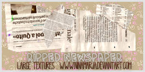 Ripped Newspaper Textures