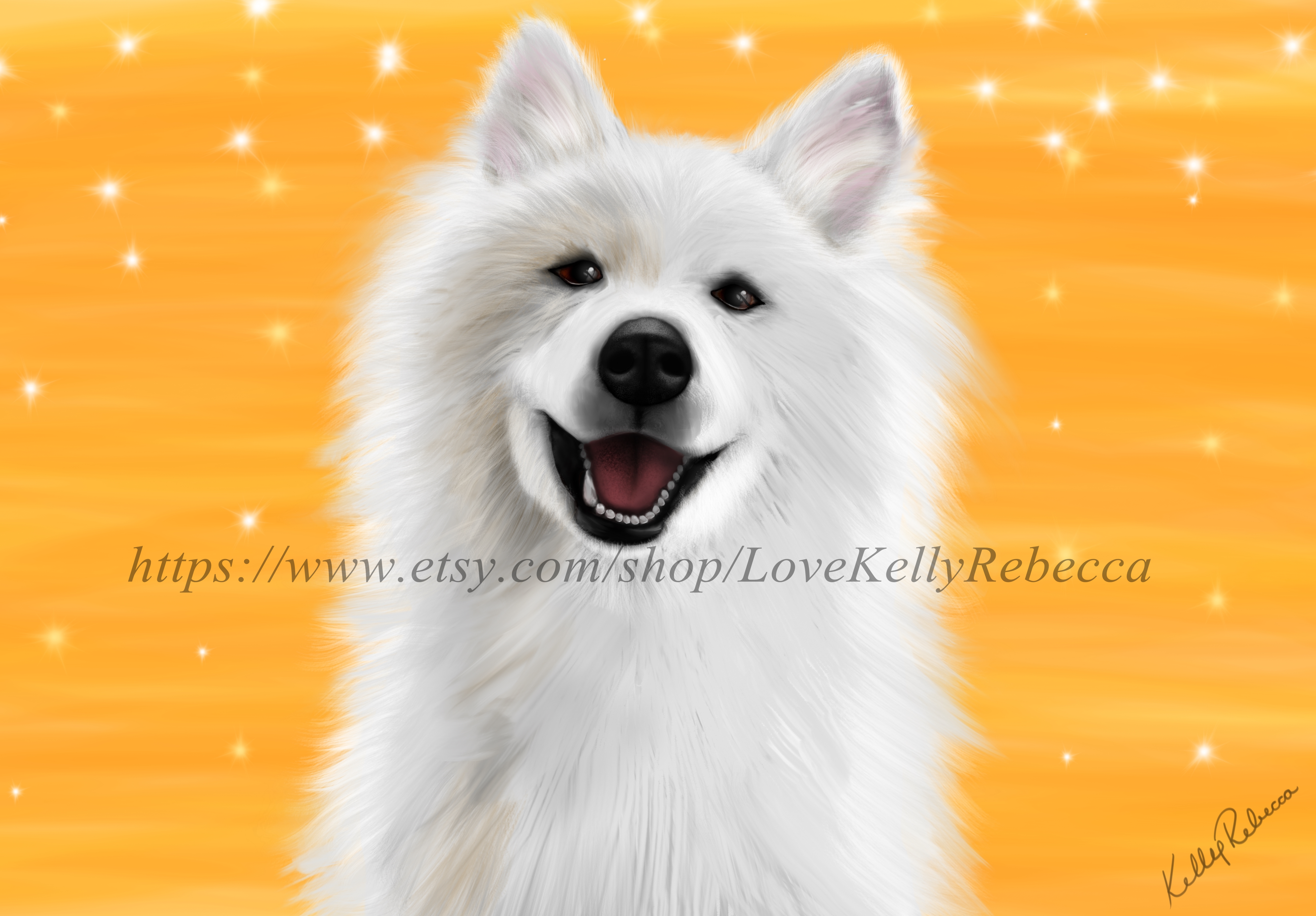 Smiling Samoyed