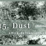 15. Dust