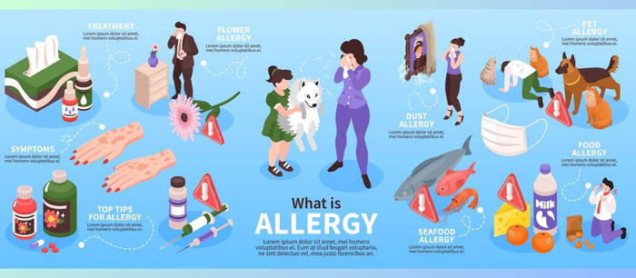 Seasonal vs Food Allergies What's the Difference