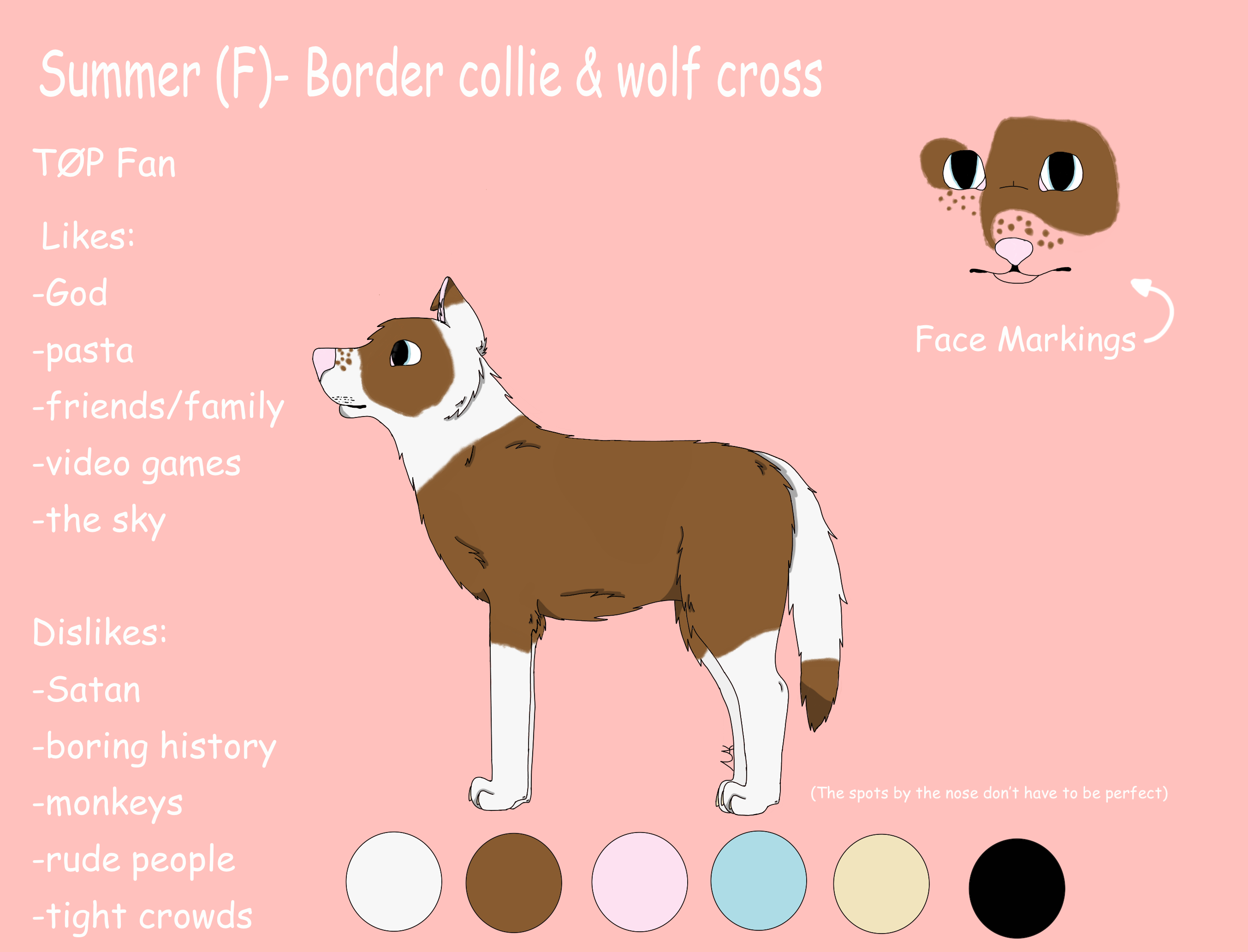 Summer Reference Sheet by TimberWolf1920 on DeviantArt