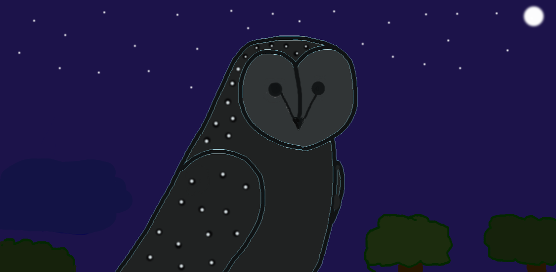 Greater Sooty Owl