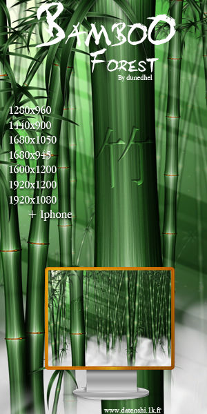 Bamboo Forest by dunedhel on DeviantArt