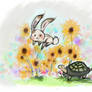 tortoise and hare