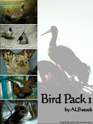 Bird Pack 1