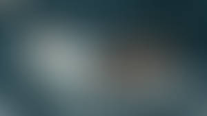 Whisk-MechanicalHands-Feet-16