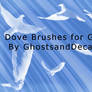 6 Dove Brushes for GIMP