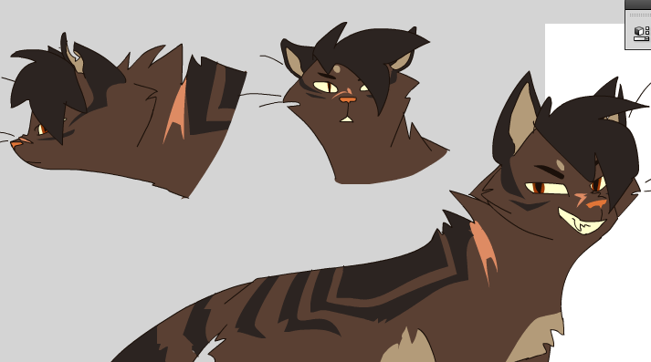 Warrior Cats DA MOVIE Char Concepts by Nifty-senpai on DeviantArt
