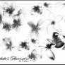 Orchidee's Flower set 01