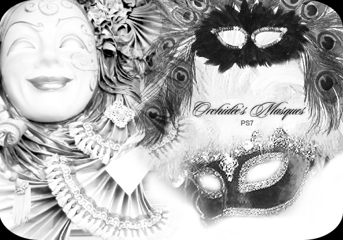 Orchidee's Masques