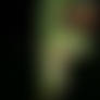 Green Snake Vore - Trailer