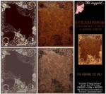 Bnspyrd STOCK PACK Steampunk-Borders Browns by Bnspyrd