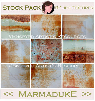 Bnspyrd STOCK-PACK-Marmaduke-TEXTURES
