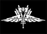 SST Mobile Infantry Logo