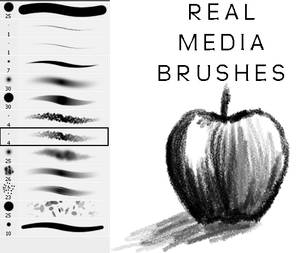 Real Media Mini Brush Set