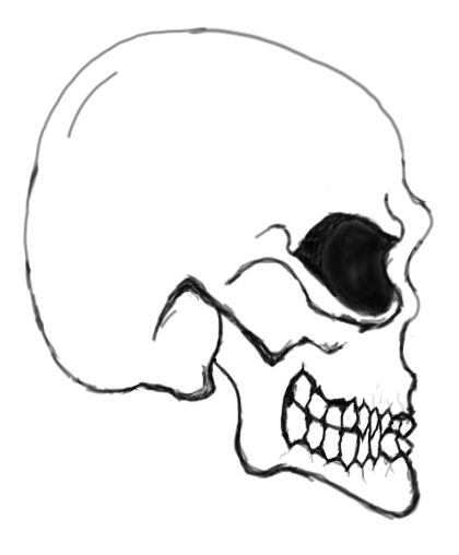 Dessin Crane Profil Gauche Redim By Sacerludum On Deviantart