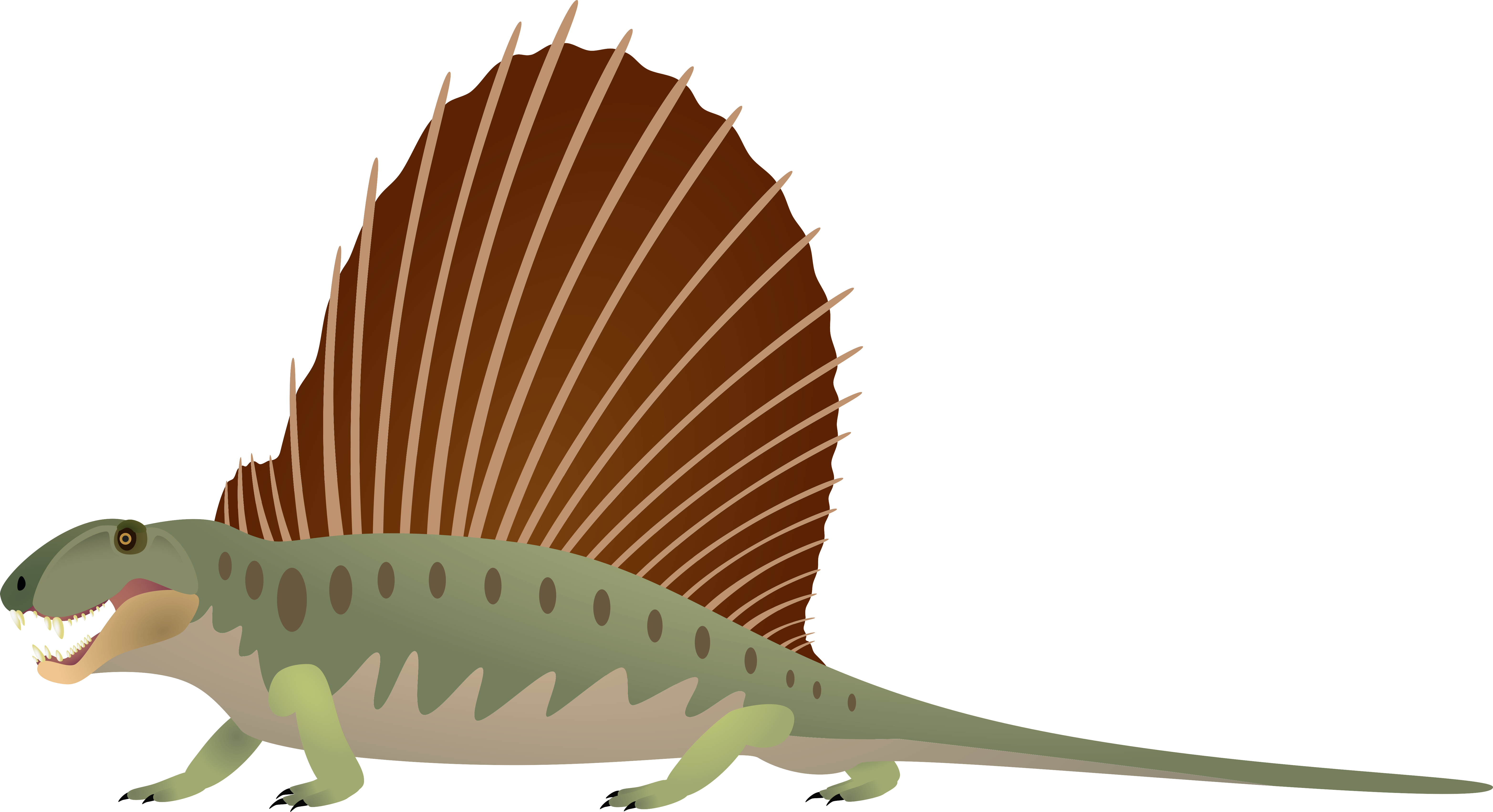 Dimetrodon by DasRuedi on DeviantArt