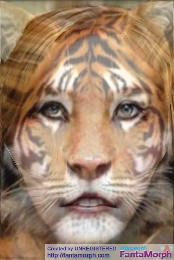 Tigress66 Morph