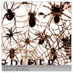 Spider by Scully7491