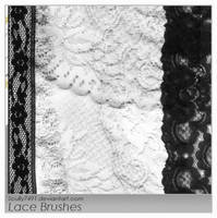 Lace Brushes