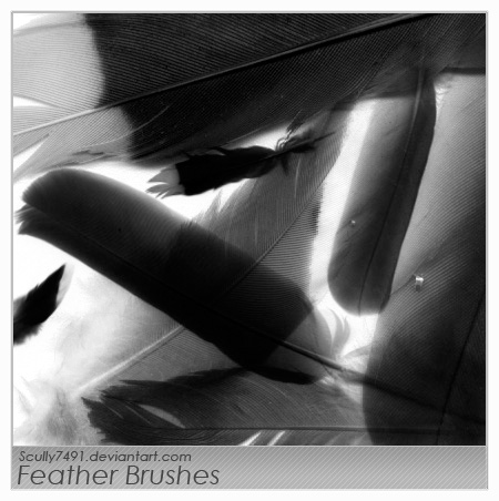 Feather Brushes