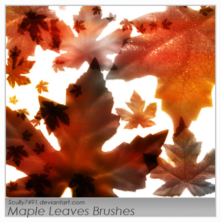 Maple Leaves Brushes by Scully7491
