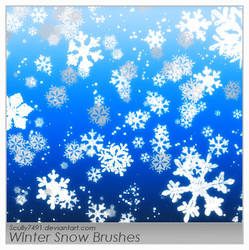 Winter Snow Brushes