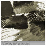 Feathery Wings Brushes by Scully7491