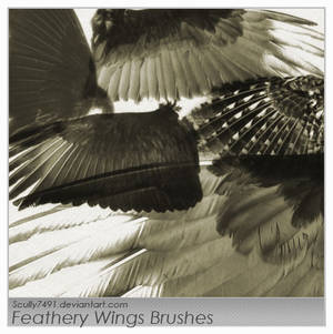 Feathery Wings Brushes