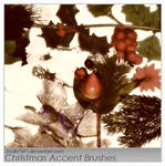 Christmas Accent Brushes