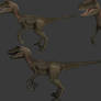 Velociraptor