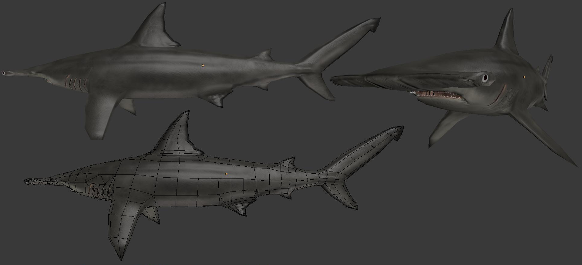 Hammerhead Shark by tiagofaller2 on DeviantArt