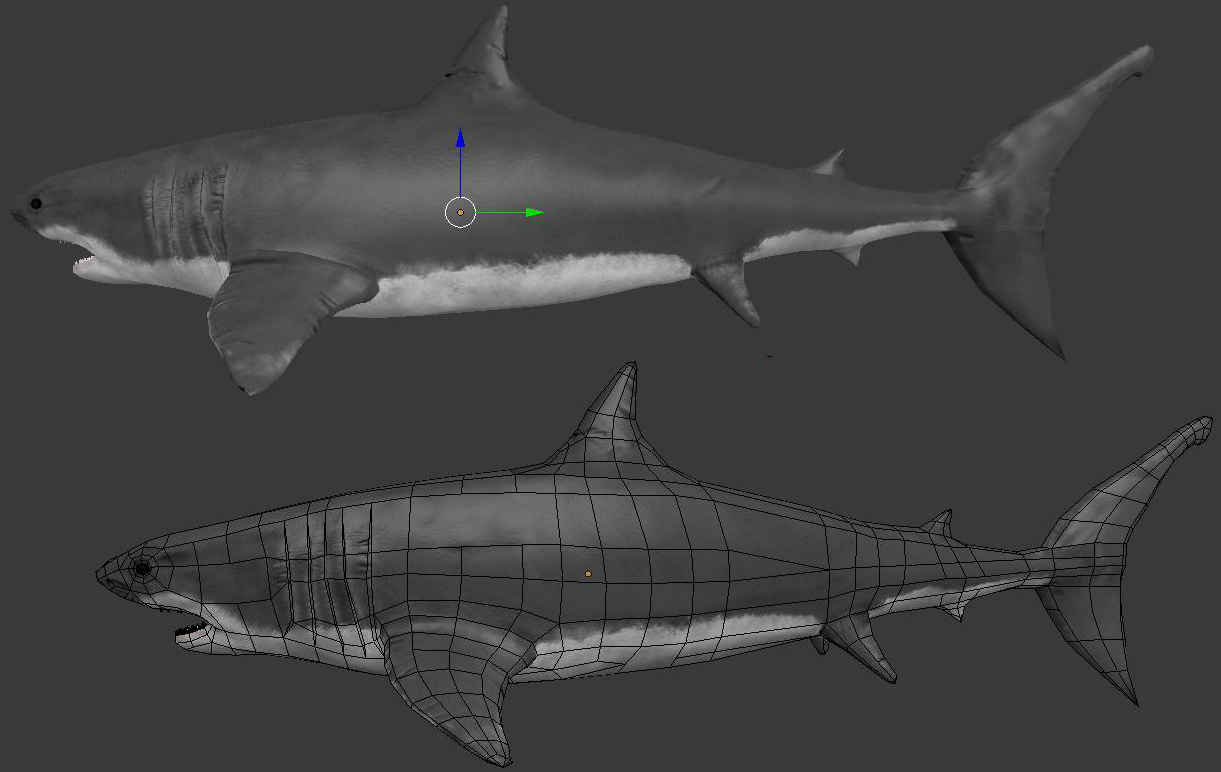 Great White Shark by tiagofaller2 on DeviantArt