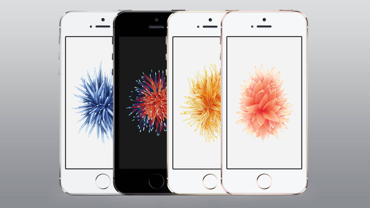 Iphone Se Flower Wallpaper By Zachlucier On Deviantart