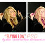 PSD FLYING LOW