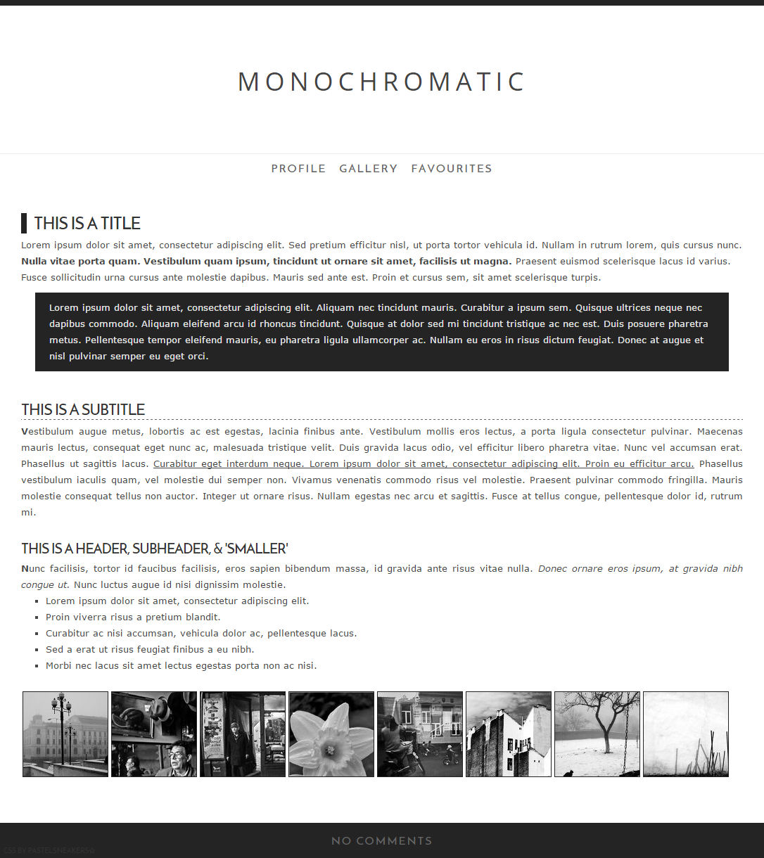 Monochromatic Journal CSS