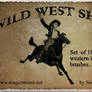 Wild West Show