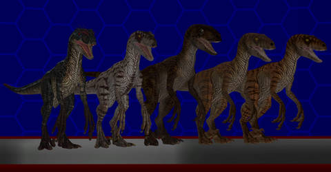 Model DL: JP Velociraptor Pack