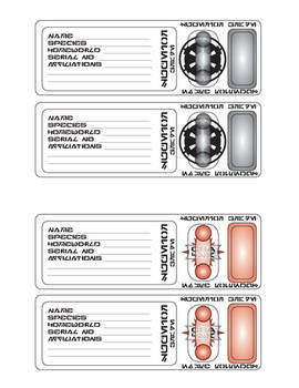 SW Identity Card Template