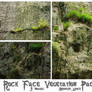 Rock Face Vegetation