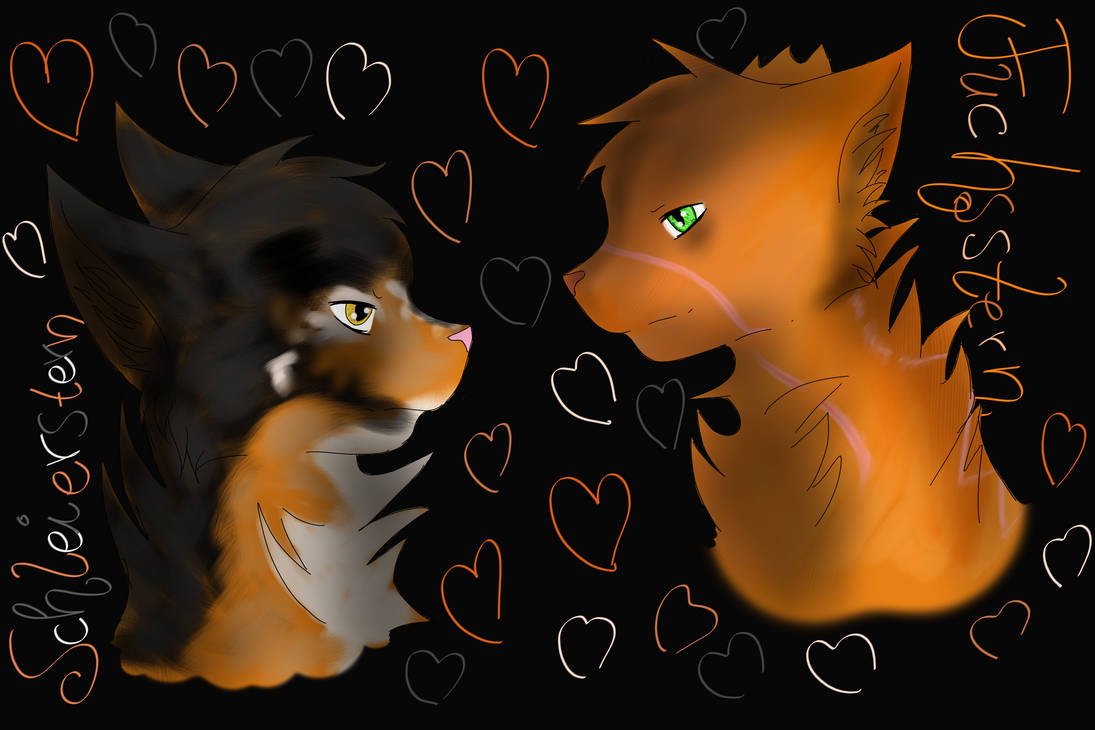Myststar x Foxstar by SuicideSeasons on DeviantArt