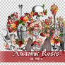 Anatomic Roses PNGs