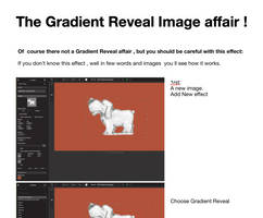 The Gradient Reveal affair