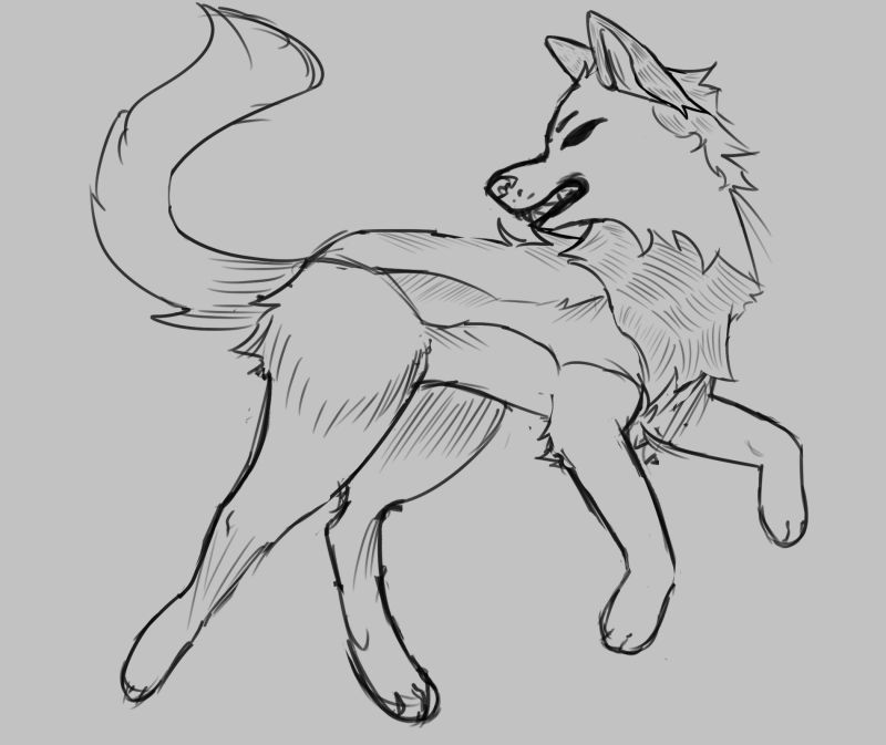 Wolf Sketch by SwaqSoaps on DeviantArt