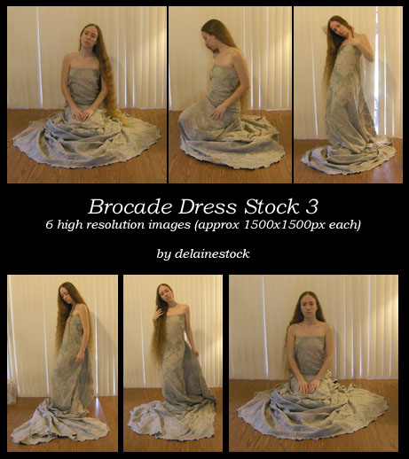 Brocade Dress Pack 3